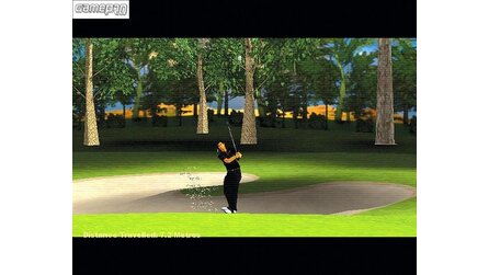 International Golf Pro