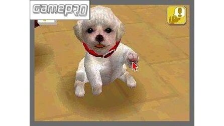 Nintendogs