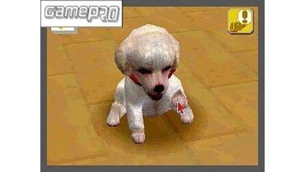 Nintendogs