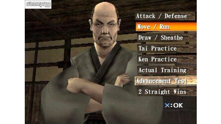 Sword of the Samurai