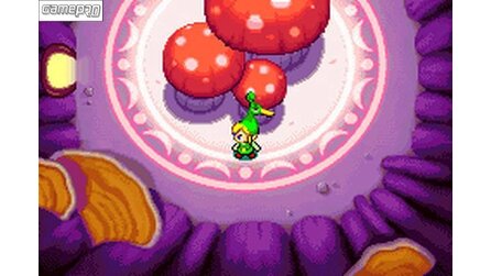 The Legend of Zelda: Magical Hood