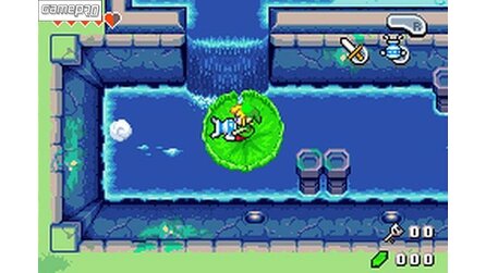 The Legend of Zelda: Magical Hood