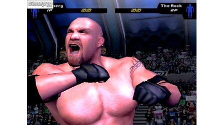 WWE Smackdown: Here comes the Pain