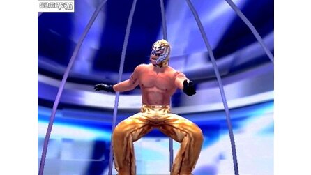 WWE Smackdown: Here comes the Pain