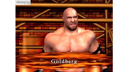 WWE Smackdown: Here comes the Pain