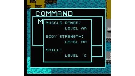 Blue Marlin, The NES