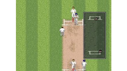 Brian Lara Cricket 99 Sega Mega Drive