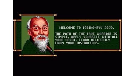 Budokan: The Martial Spirit Sega Mega Drive