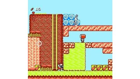 Bugs Bunny Birthday Blowout, The NES