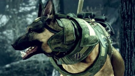 Call of Duty - Activision geht gegen Patent eines Hundehaufen-Entfernungs-Service vor
