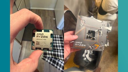 PC-Spieler kauft brandneue CPU - Hund zerkaut sie, noch bevor er die Box öffnet und jetzt kann er nur noch beten