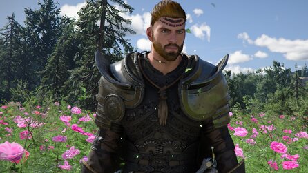 Crimson Desert bekommt keine Roadmap für Updates - und das aus gutem Grund