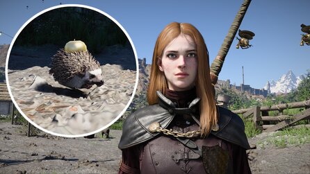 Goldene Äpfel in Crimson Desert: Ich habe bisher nie auf Igel geachtet, aber das wird sich jetzt ändern - Sie können mich mit ihrer Fracht ganz einfach reich machen