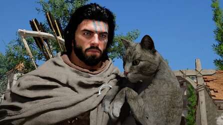 Its purrfect Crimson Desert-Spieler freundet sich mit einer Katze an, aber die ist so dick und faul, dass er sie die ganze Zeit tragen muss