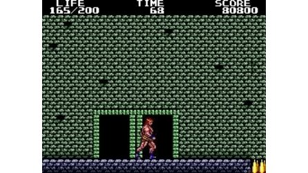 Danan The Jungle Fighter Sega Master System