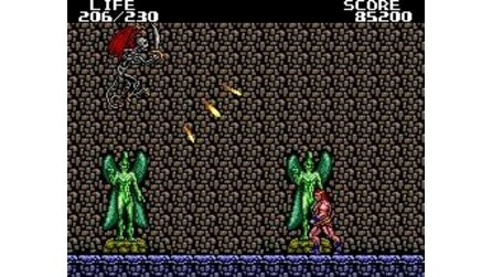 Danan The Jungle Fighter Sega Master System