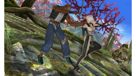 Dead or Alive: Dimensions