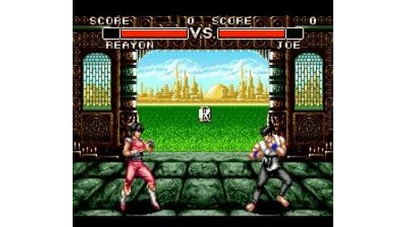 Deadly Moves Sega Mega Drive