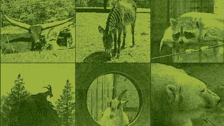 Nintendo-Fan nimmt Game Boy-Kamera mit in den Zoo und schießt die beeindruckendsten Tierfotos, die ihr heute sehen werdet