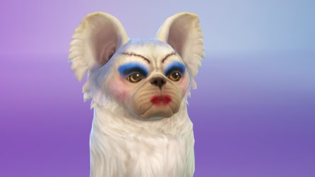 Die Sims 4: Hunde und Katzen - So bizarr sehen die Sim-Haustiere der Community aus