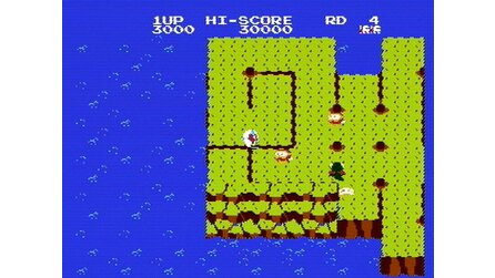 Dig Dug II: Trouble in Paradise NES