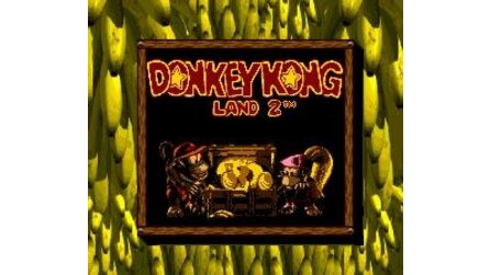 Donkey Kong Land 2: Diddys Kong Quest Game Boy