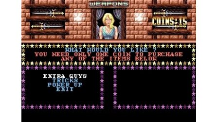 Double Dragon III: The Sacred Stones Sega Mega Drive