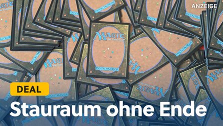Ich habe über 30.000 Magic-Karten – mit diesen Boxen behalte ich den Überblick