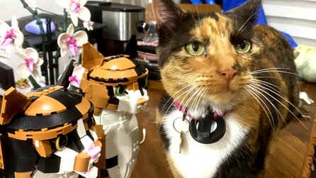 Ein LEGO-Sammler und seine Freundin bestellen sich zwei unterschiedliche Katzen-Sets - und bauen daraus die ultimative Glückskatze