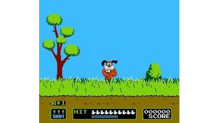 Duck Hunt NES