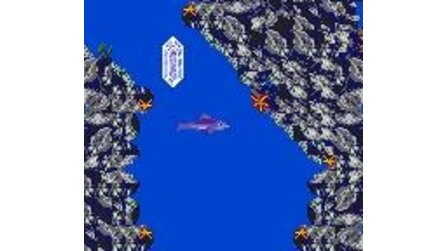 Ecco 2: The Tides of Time Game Gear