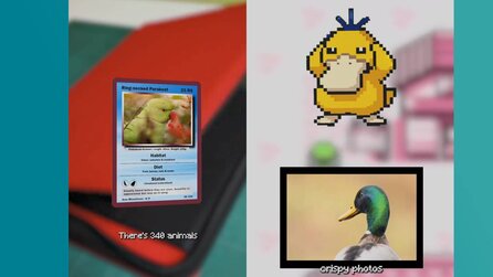 Pokémon-Fan erstellt Pokédex mit echten Tieren, die er bei sich im Wald beobachtet - und diese coole Challenge wollen wir direkt nachmachen