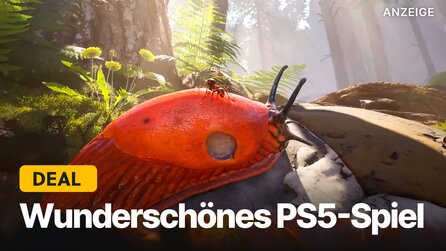 So nah am Fotorealismus war noch kein PS5-Spiel: Den schönsten Wald, den die Konsole zu bieten hat, gibts jetzt im Top-Angebot!