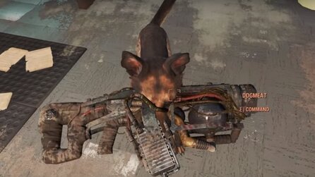 Fallout 4 - Hundebegleiter wird dank Glitch zum Meister-Schloßknacker