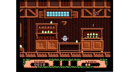 Fantastic Adventures of Dizzy, The NES