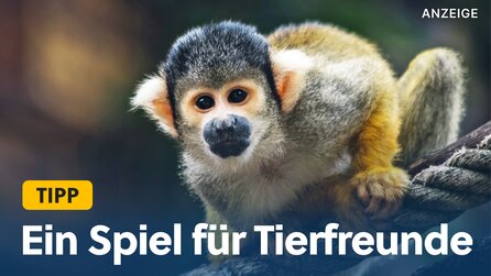 Der Nachfolger eines der besten Brettspiele aller Zeiten!