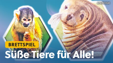 Der Brettspiel-Hit Arche Nova gilt als eines der Besten – der Nachfolger ist mindestens genauso gut!