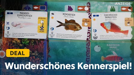 Bezauberndes Brettspiel über die Wunder der Ozeane! Wir lieben dieses Meisterwerk und ihr solltet es nicht verpassen!