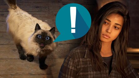 Forspoken: Keine Sorge, der Katze gehts gut