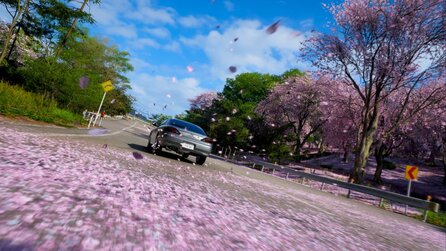 Forza Horizon 6 lässt euch alles mögliche über den Haufen fahren, aber keine Kirschbäume und daran liegts