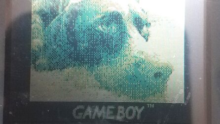 Nintendo-Papa zeigt seinem 3-jährigen Kind seinen Game Boy Color - entdeckt dort zufällig Foto von seinem Hund aus 1999