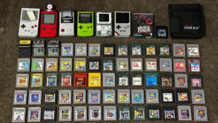 Spieler will eigentlich nur den Retro-Store eines Kumpels besuchen, mutiert zum Sammler und schafft sich innerhalb eines Jahres 108 Games und sieben Game Boys an