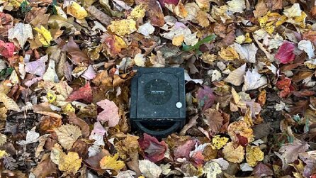 Überraschung beim Waldspaziergang: Spieler findet einen GameCube im Laub - Pokémon-Spiel im Laufwerk