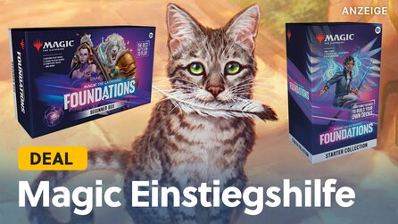 Der Start ins größte Kartenspiel der Welt gelingt für unter 100€