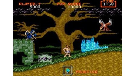 Ghouls N Ghosts Sega Mega Drive