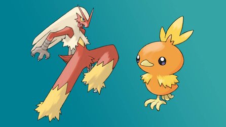 Es ist abstoßend. Ich liebe es: Pokémon-Fan zeichnet Lohgock und Flemmli ohne Federn