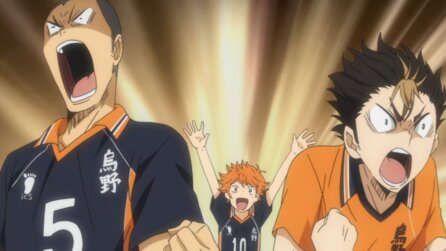 Sowas passiert doch nur im Anime Volleyballspieler trifft beim Aufschlag versehentlich eine Schiedsrichterin und entschuldigt sich so extrem, dass Anime-Fans dabei sofort an Haikyu denken