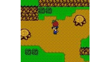 Harvest Moon 3 GBC Game Boy Color