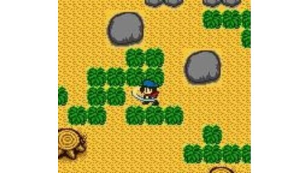 Harvest Moon GB Game Boy Color