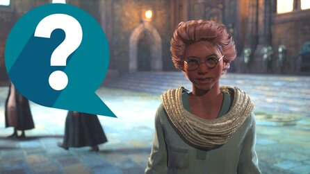 Nach diesen Bildern glaube ich, dass uns in Hogwarts Legacy eigentlich niemand leiden kann